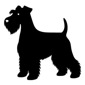 Terrier Alert Pose
