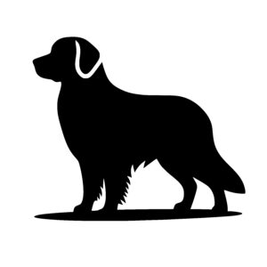Gentle Dog Profile