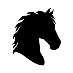 Graceful Horse Profile