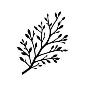 Branching Leaves Life