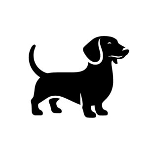 Joyful Dachshund Stance