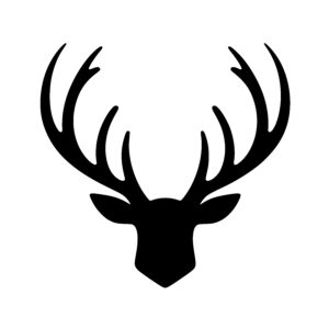 Antlered Stag Portrait