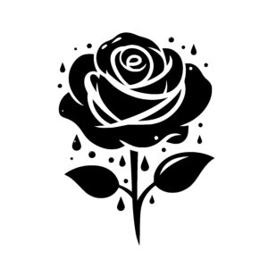 Droplets on a Rose