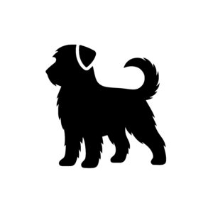 Shaggy Dog Profile