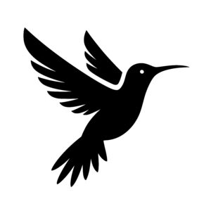 Hummingbird in Motion