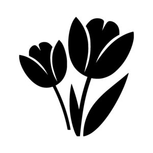 Elegant Tulip Duo
