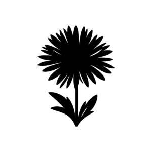 Elegant Flower Blossom