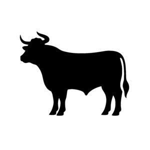 Strong Bull Stance