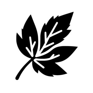 Lobed Leaf Silhouette