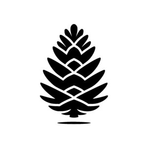 Cone Pine in Nature