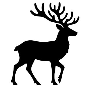 Elegant Deer Profile
