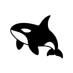 Orca in Motion