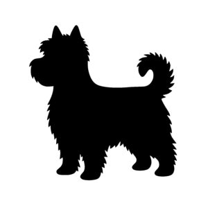 Alert Little Pooch