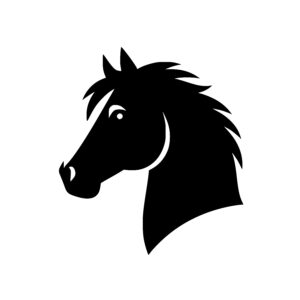 Attentive Horse Head