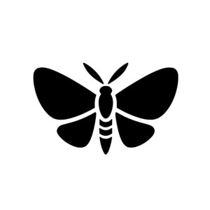 Graceful Butterfly Beauty