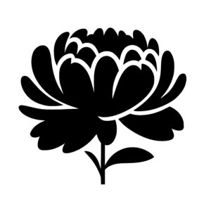 Radiant Flower Burst