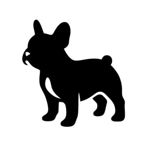 Proud French Bulldog