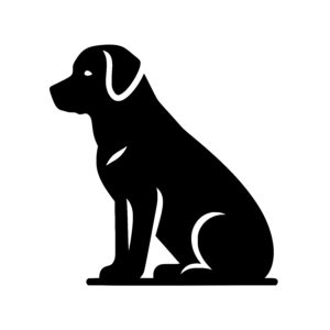 Attentive Seated Dog