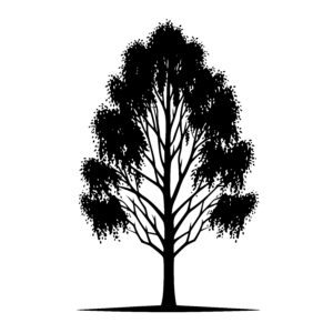 Strong Canopy Tree