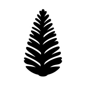 Pine Cone Profile