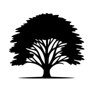 Sturdy Tree Rising