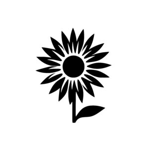 Sunflower Delight