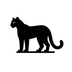 Alert Panther Stance