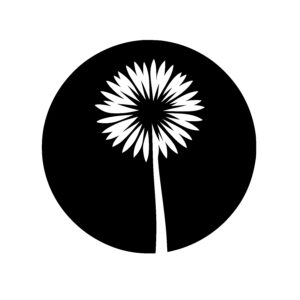 Elegant Blooming Flower