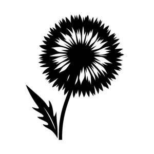 Radiant Flower Blossom