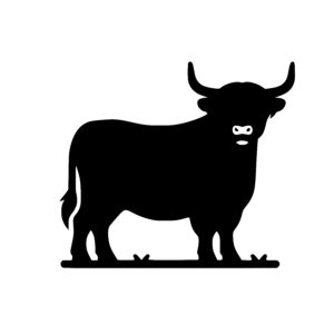 Highland Cow Stance
