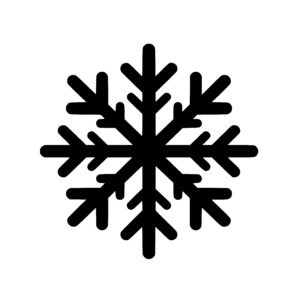 Geometric Snowflake
