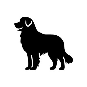 Friendly Dog Silhouette