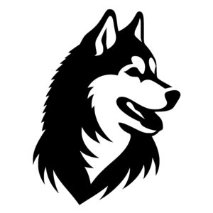 Curious Wolf Friend