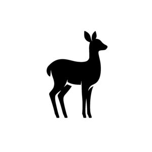 Alert Deer Stance