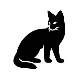 Curious Cat Profile