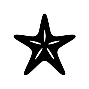 Wonder Starfish