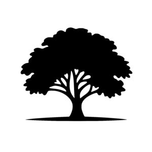 Lush Canopy Tree
