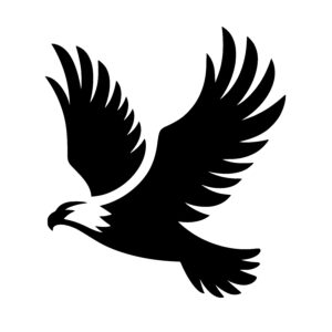 Graceful Eagle in Flight