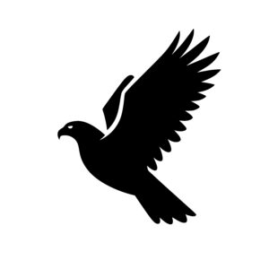Majestic Eagle Soaring