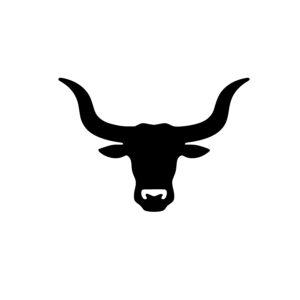 Bold Bull Head