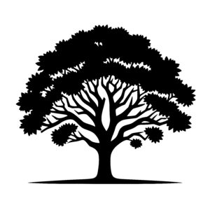 Sturdy Canopy Tree