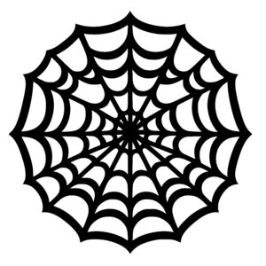 Geometric Spider Web