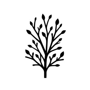 Growing Symmetry Tree