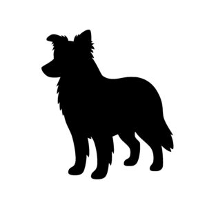Herding Dog Profile