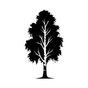 Strong Tall Tree