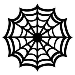 Radiant Spider Web