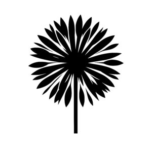 Radiant Petal Dance