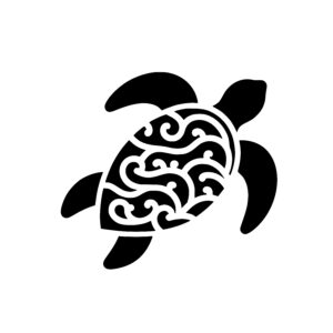 Swirling Shell Turtle