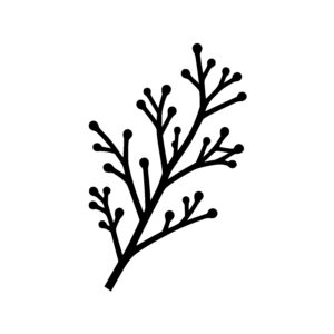 Curved Twig Cluster