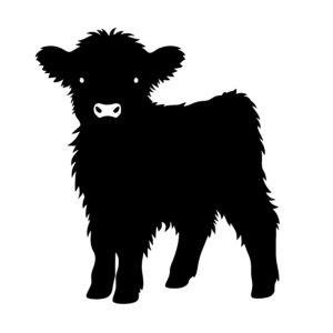 Curious Calf Stance